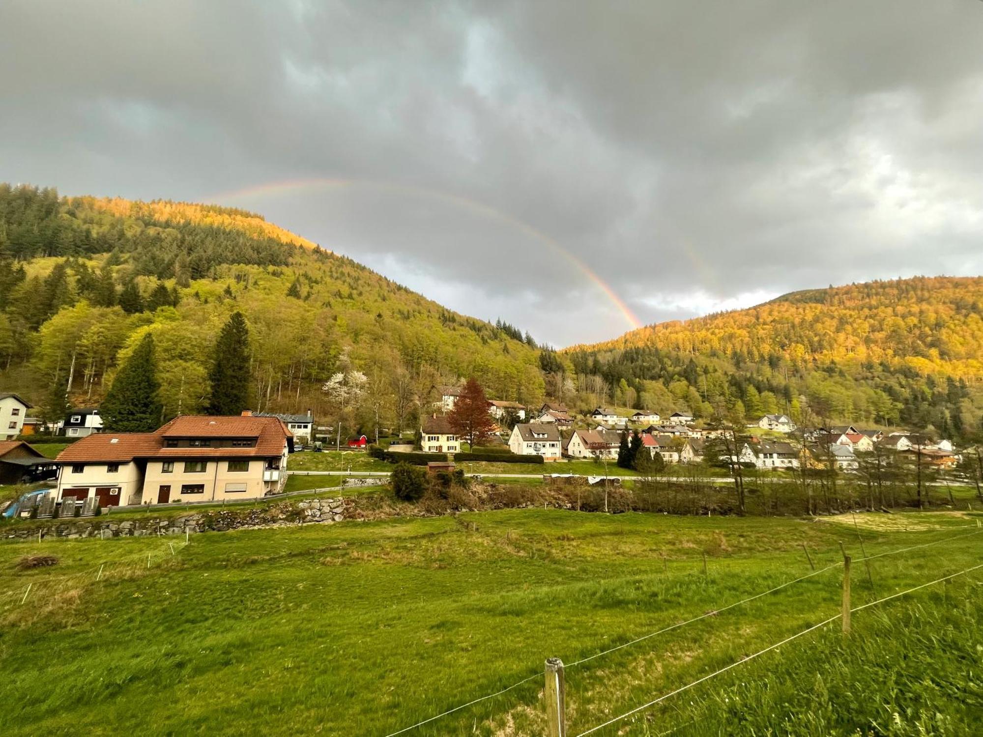 Ferienwohnung Ella, 95Qm, Terrasse Todtnau Zewnętrze zdjęcie